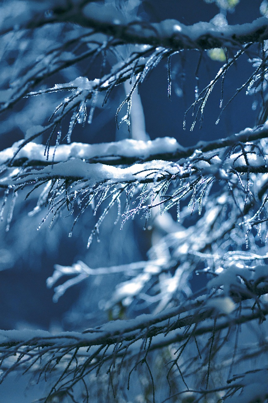 nature, icicles, snow, winter, season, snow, snow, snow, snow, snow, winter, winter, winter, winter